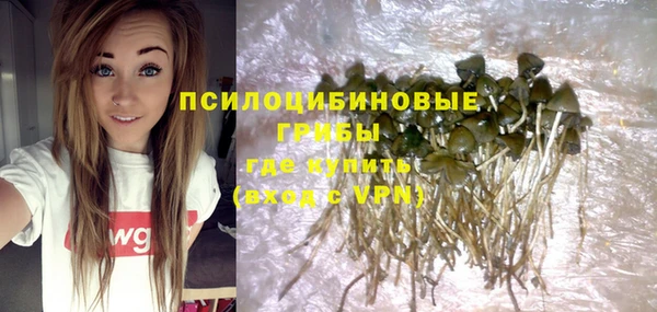 гашик Армянск