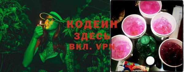 дмт Арсеньев